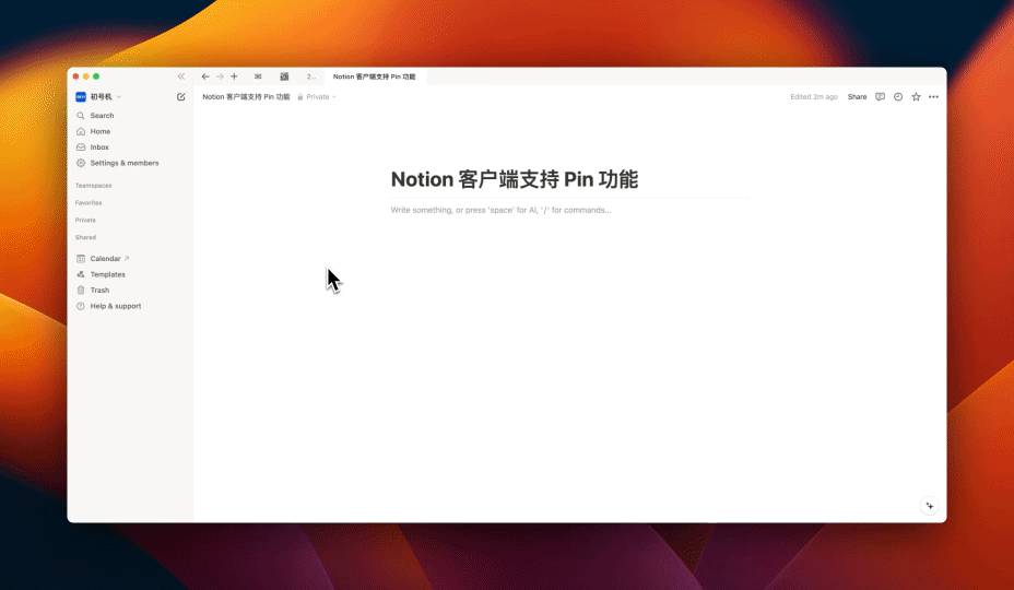 客户端窗口固定 Pin 功能演示