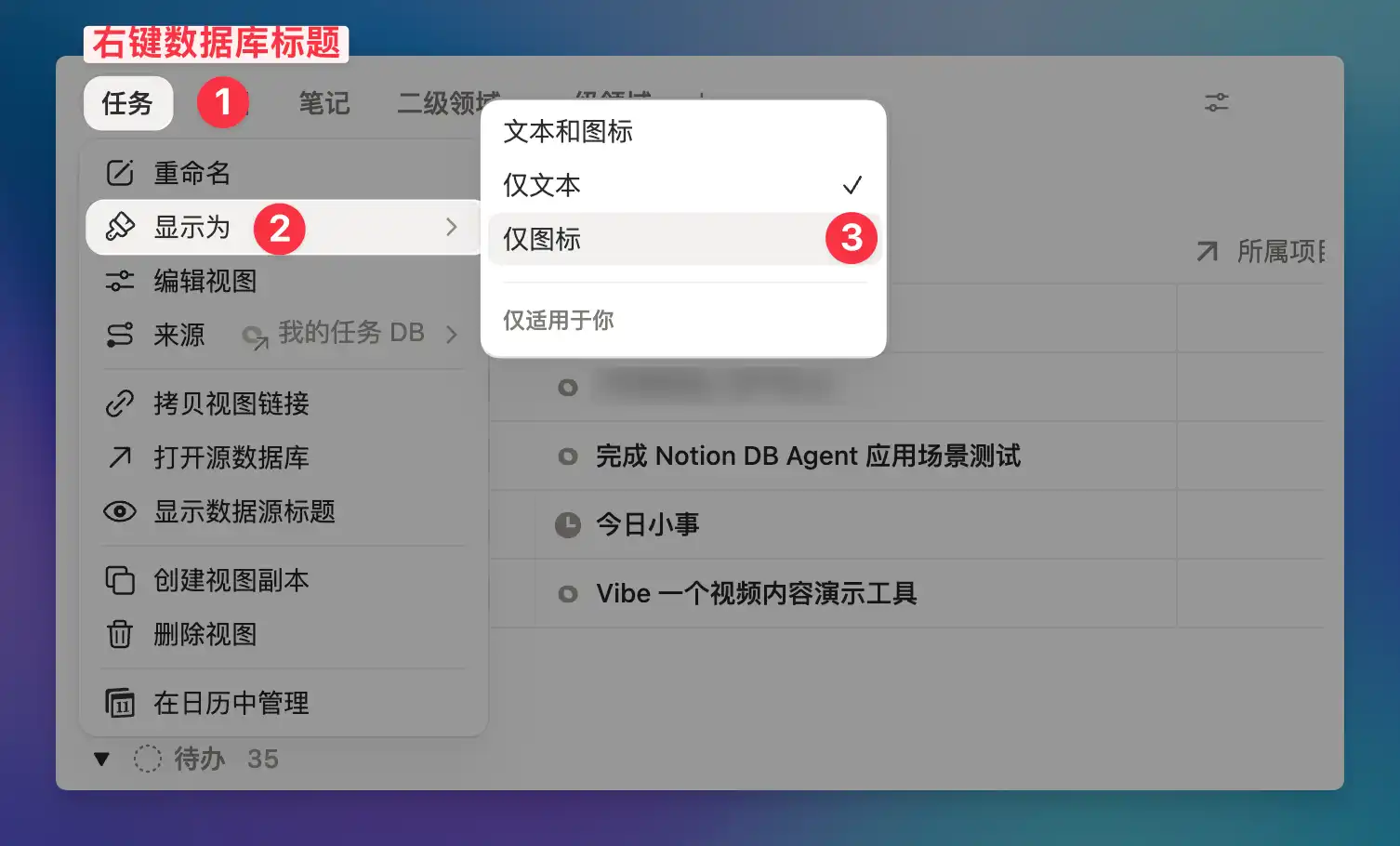 Notion 数据库标签页自定义显示方式